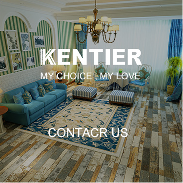 brief-introduction_03