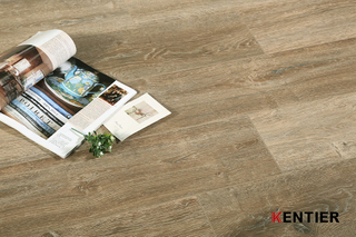 Laminate Flooring 5024-4