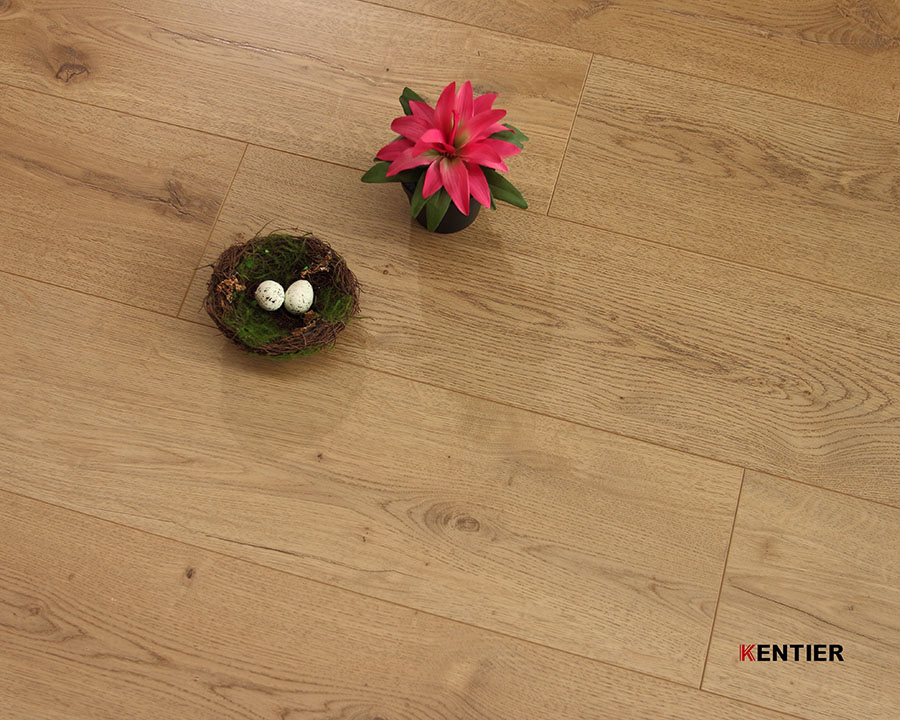 Laminate Flooring 10004-21