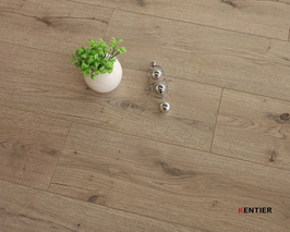 Laminate Flooring 10004-5