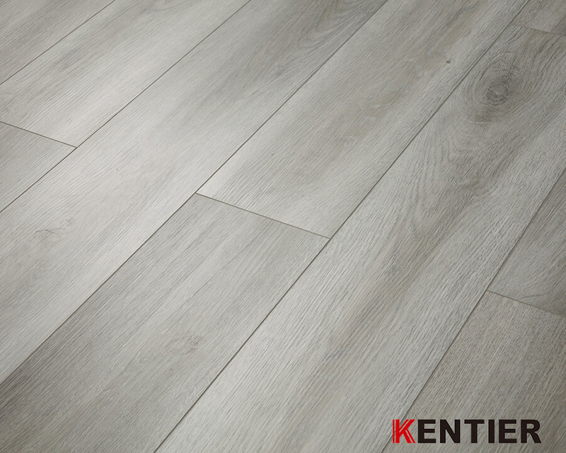 Fully Owned CBA Basketball Team /Kentier Flooring