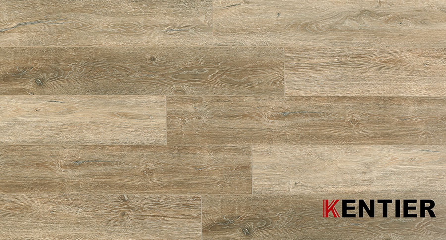 Laminate Flooring 5024-4