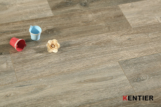 Laminate Flooring 5024-6
