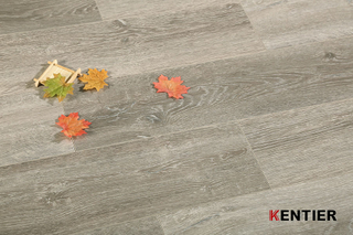 Laminate Flooring 5024-3