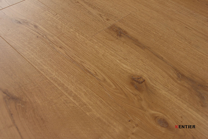Laminate Flooring 10004-21