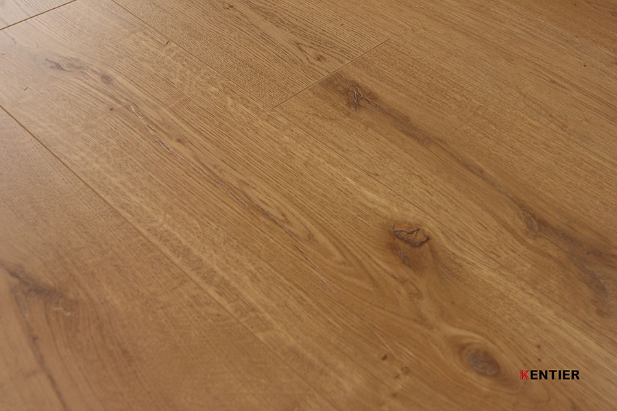 Laminate Flooring 10004-21