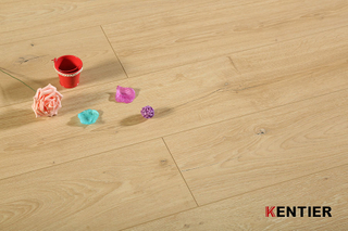 Laminate Flooring 010415-2011