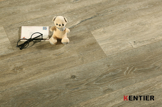 Laminate Flooring 5024-1