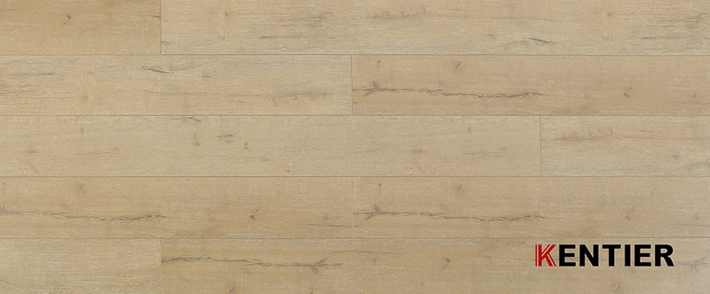Laminate Flooring 9205D