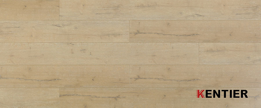 Laminate Flooring 9205D