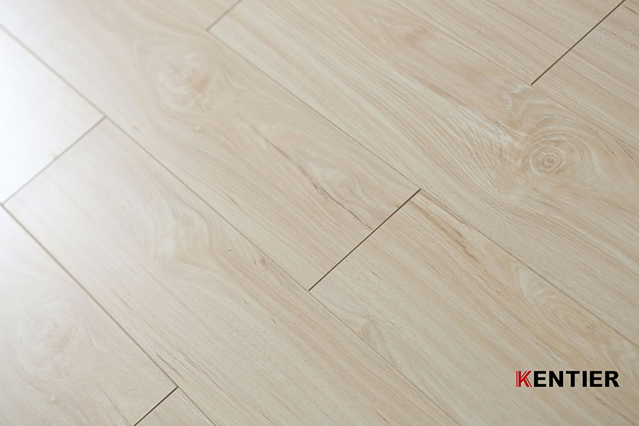 Laminate Flooring 8005-4