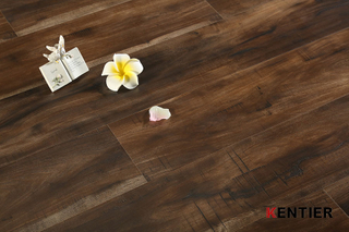 Laminate Flooring 2185-11