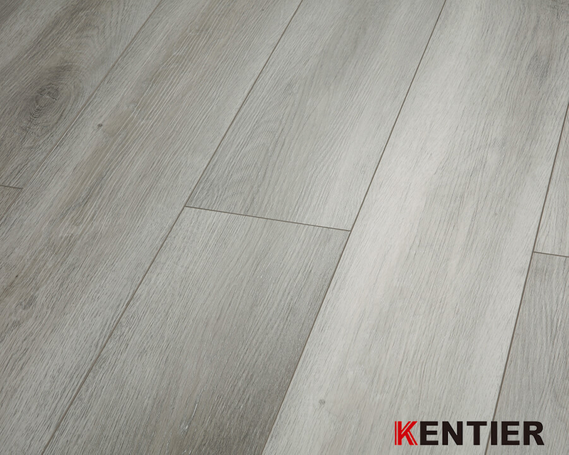 Fully Owned CBA Basketball Team /Kentier Flooring