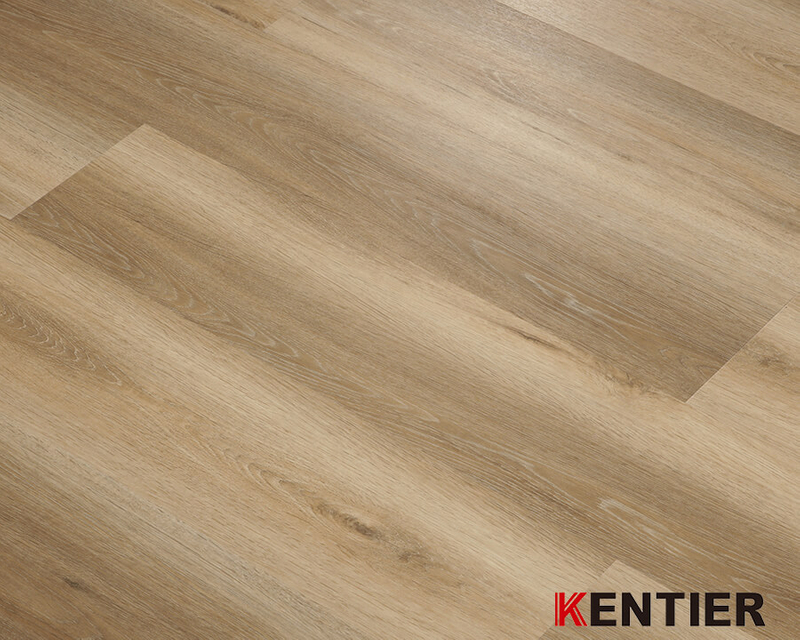 Owned CBA Basketball Team/Kentier Flooring