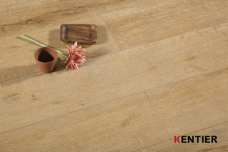 Laminate Flooring 9205B