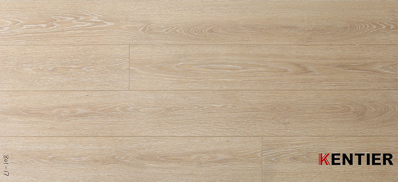 Laminate Flooring 801-17