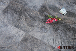 Coral Grain Stone Plastic Composite Flooring