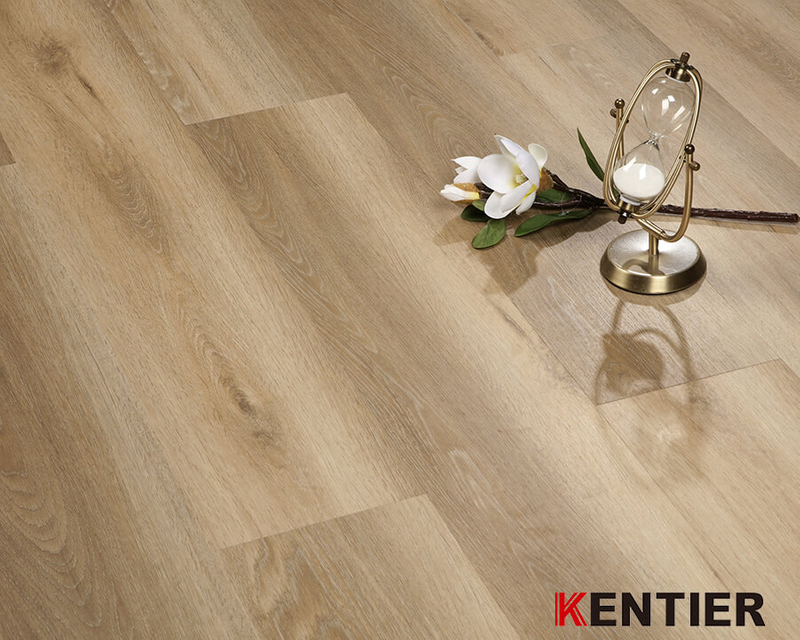 Owned CBA Basketball Team/Kentier Flooring