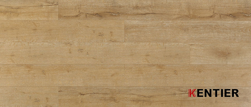 Laminate Flooring 9205B