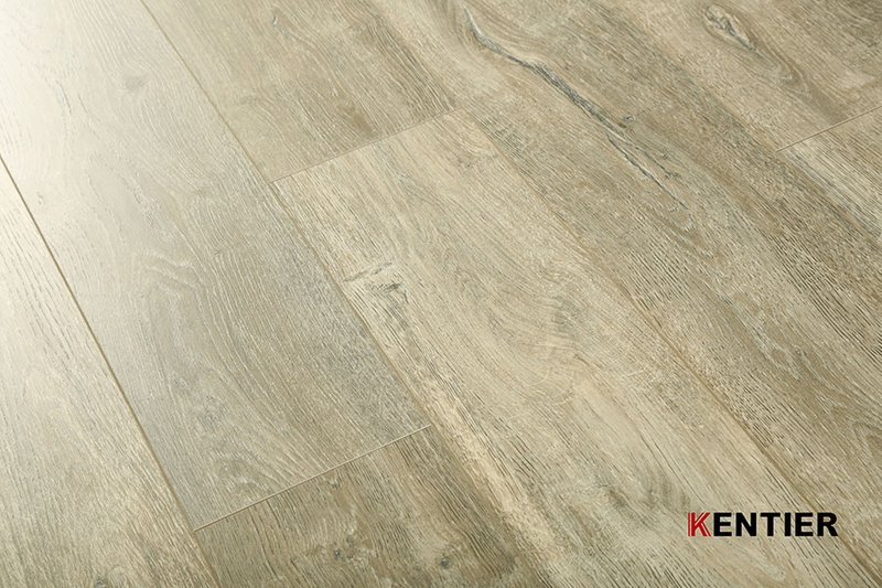 Laminate Flooring 5024-1