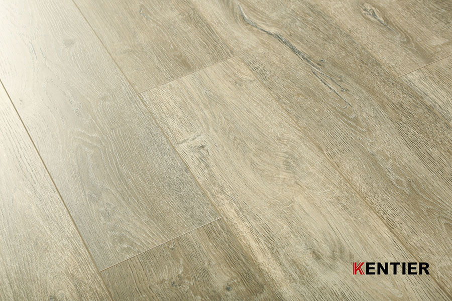 Laminate Flooring 5024-1