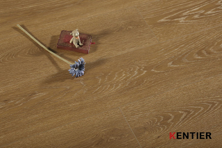 Laminate Flooring 8101-28