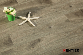 Laminate Flooring 8096-11