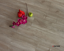 Laminate Flooring 7242-4