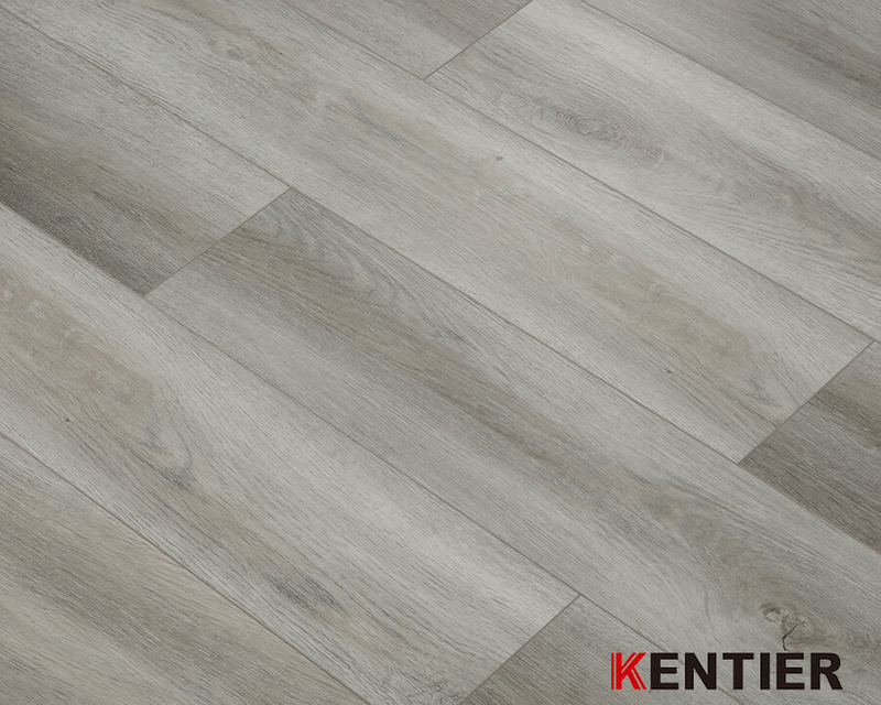 Fully Owned CBA Basketball Team /Kentier Flooring