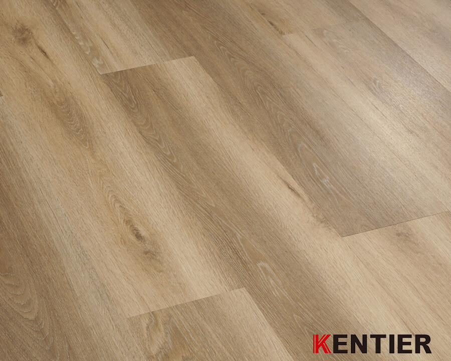 Owned CBA Basketball Team/Kentier Flooring