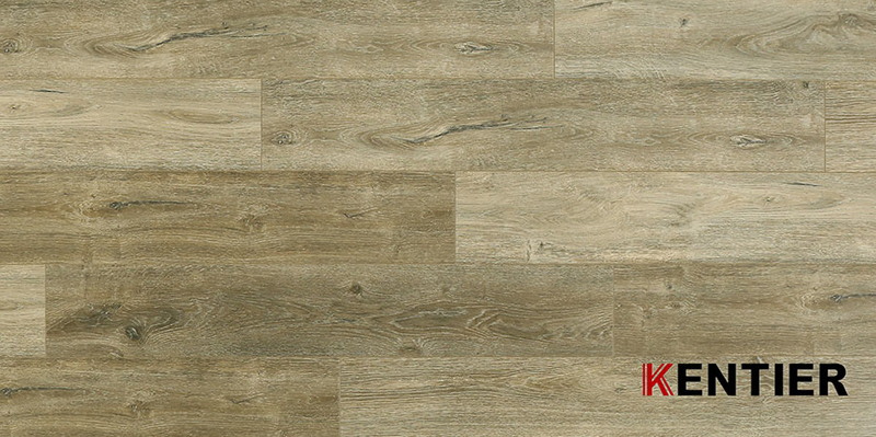 Laminate Flooring 5024-1