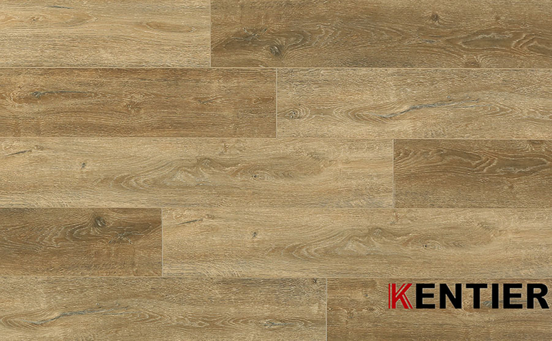 Laminate Flooring 5024-5