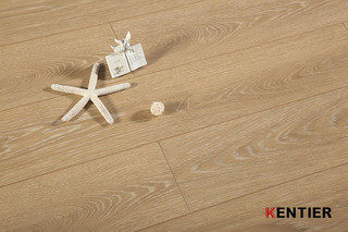 Laminate Flooring 801-10