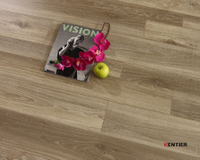 Laminate Flooring 8008-6