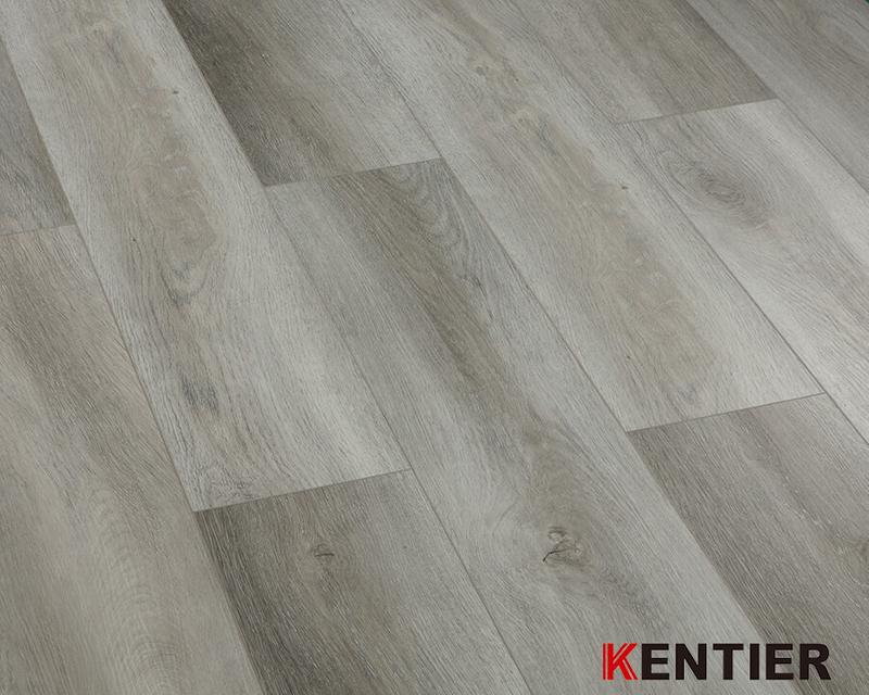 Fully Owned CBA Basketball Team /Kentier Flooring