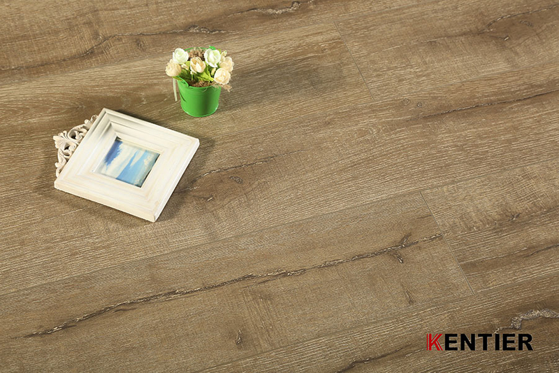 Laminate Flooring 9205-12