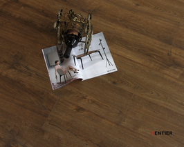 Laminate Flooring 7241-7