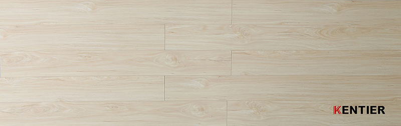Laminate Flooring 8005-4
