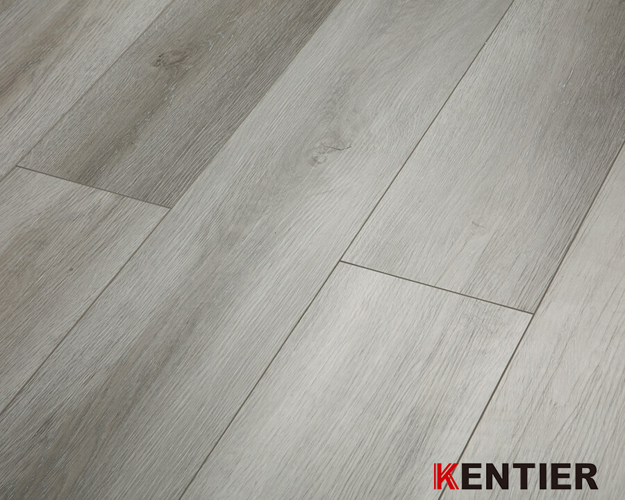 Fully Owned CBA Basketball Team /Kentier Flooring