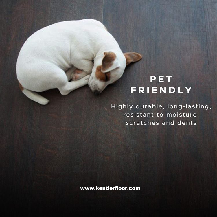 QQ图片20200428100516