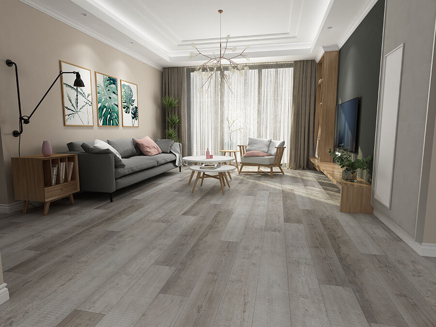 Dry-back第一张 (1)